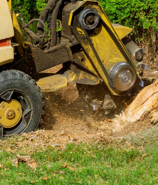 Stump Grinding Service Near Me